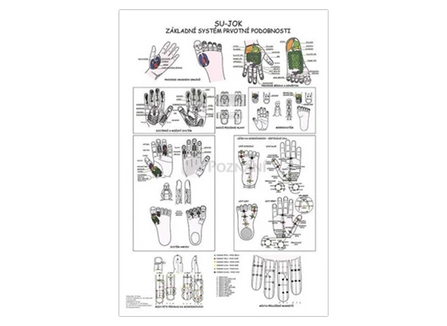 Su-Jok základný systém prvotnej podobnosti 48x70cm