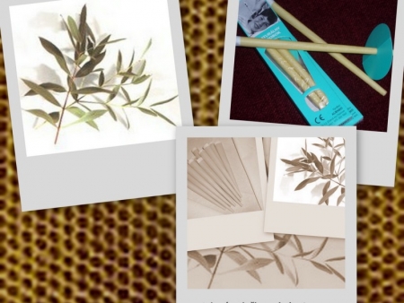 Ušná sviečka eukalyptová