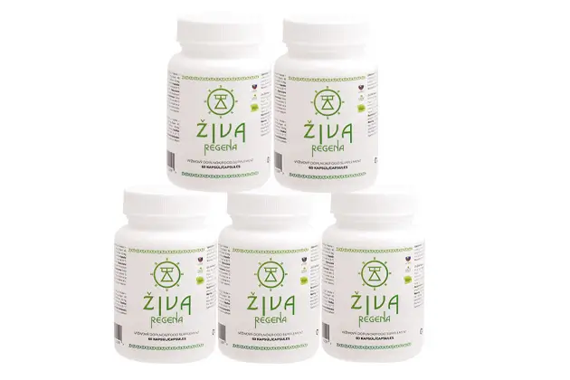 ŽIVA regena 5ks VÝHODNÉ BALENIE